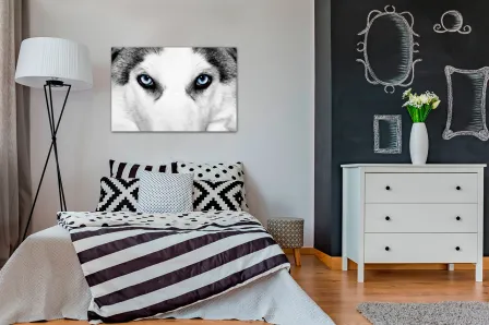 Quadro Husky