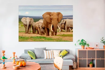 Quadro Manada Elefantes