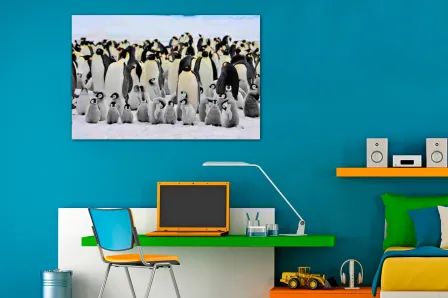 Quadro Pinguins 