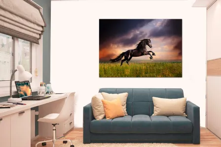 Quadro Cavalo Preto