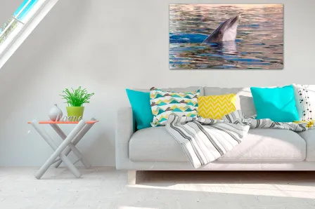 Quadro Golfinho 