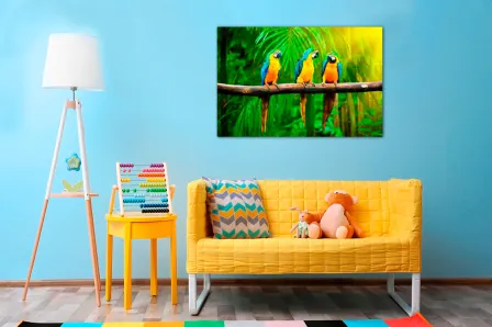 Quadro Papagaios