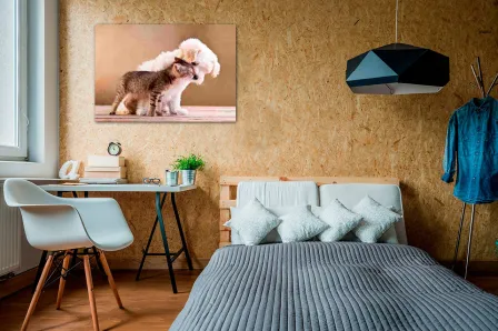 Quadro Cão e Gato