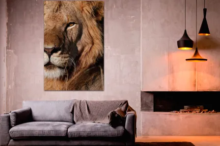 Quadro Rosto de Leão