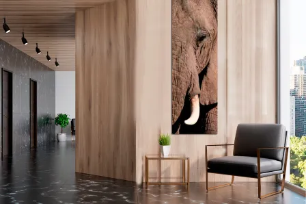 Quadro Porte de Elefante