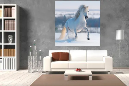 Quadro Cavalo Branco