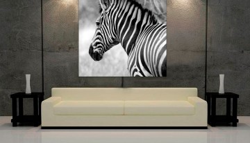 Quadro Linda Zebra