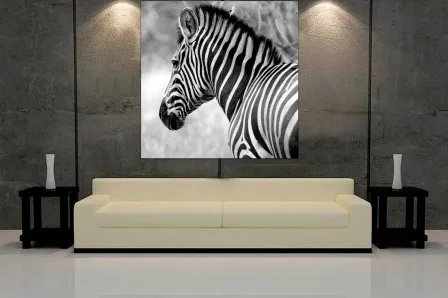 Quadro Linda Zebra