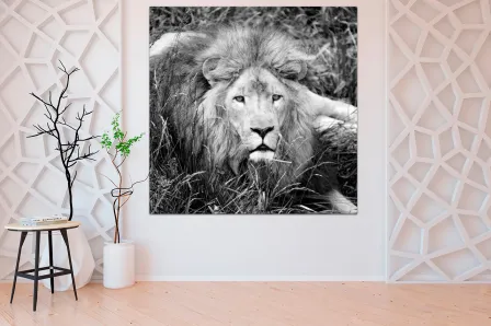 Quadro Leão a Preto e Branco