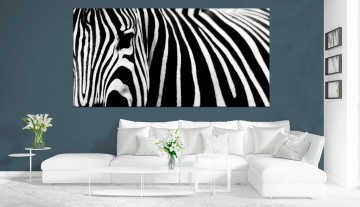Quadro Zebra Horizontal