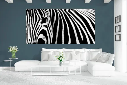 Quadro Zebra Horizontal