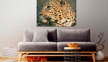 Quadro Rosto de Leopardo