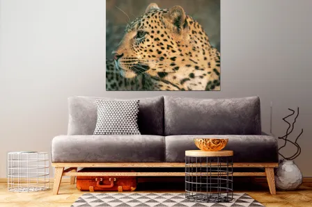 Quadro Rosto de Leopardo