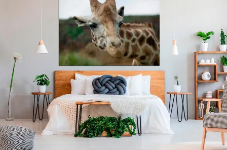 Quadro Rosto de Girafa