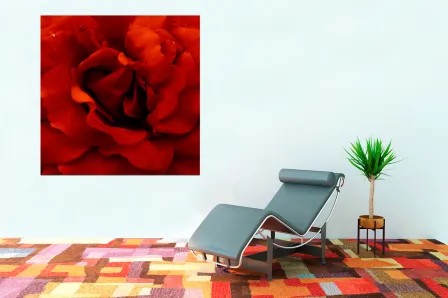 Quadro Red Inside