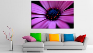 Quadro Beleza Floral