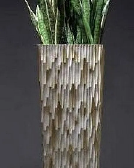Vaso Alto