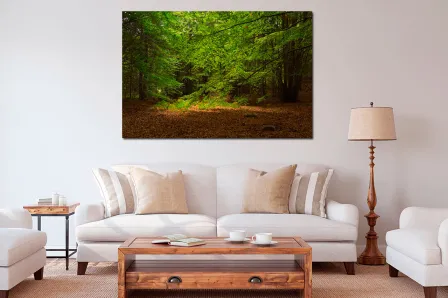 Quadro Perdido