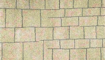 Tapete Muro