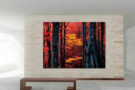 Árvores infinitas pintando