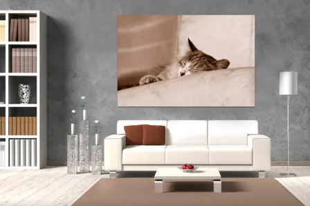 Pintura de gato a dormir