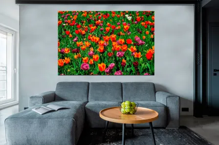 Pintura de campo de tulipas
