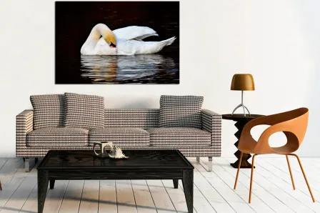 Pintura de cisne no lago