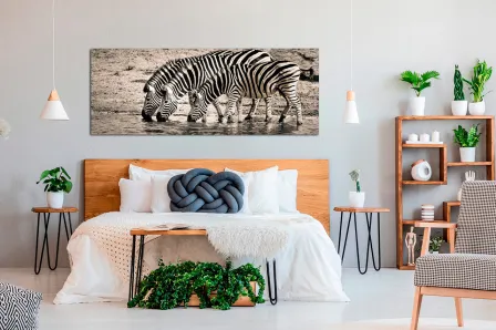 Pintando zebras bebendo