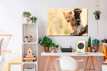 Pintura de filhote de leão