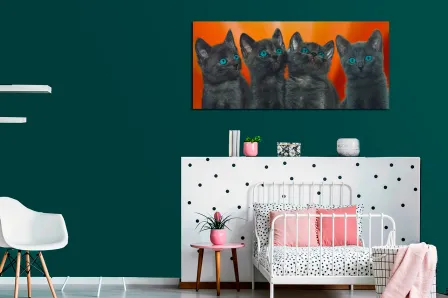 Pintando gatinhos