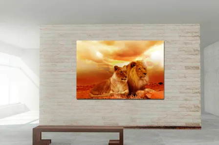 Casal de leões pintando