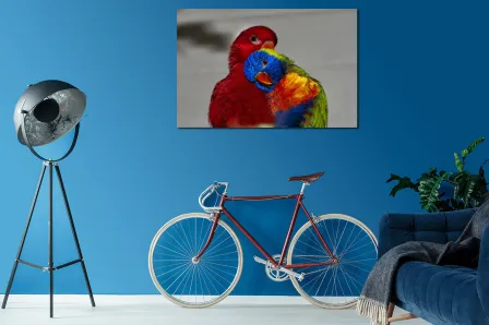 Papagaios com amor pintando