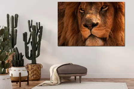 Pintura leonina