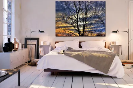 Árvore e pintura do céu